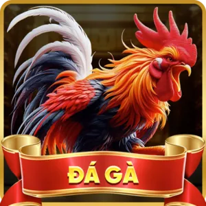 Giá trị khách hàng là trọng tâm của 678win tải app