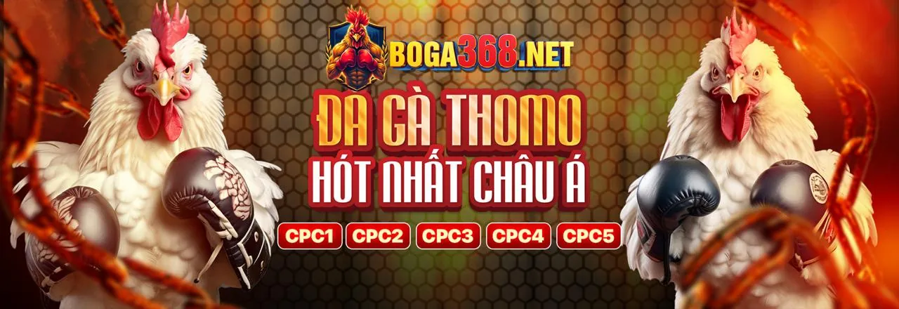 Đấu trường đá gà kịch tính tại 678WIN
